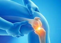 Knee joint cartilage injuries